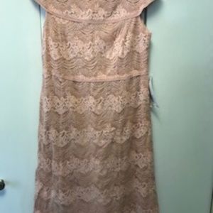 Roaman's Lace Dress - NEW